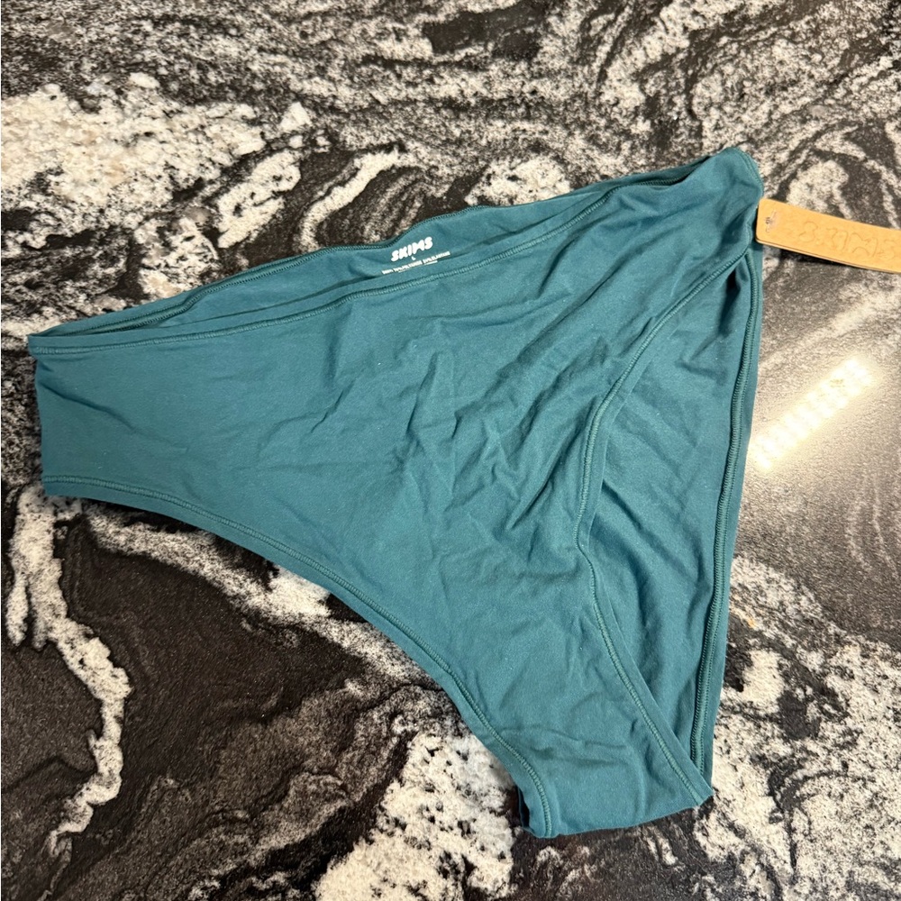 SKIMS EVERYDAY ESSENTIALS Teal Bikini Panty L NWT